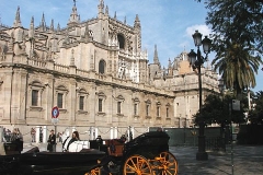 Sevillská katedrála
