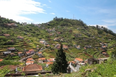Jižní část Madeiry je velice obydle a obdělávaná.