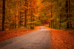 Podzimní cesta