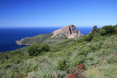 Nejzápadnější výběžek Korsiky Cap Corse