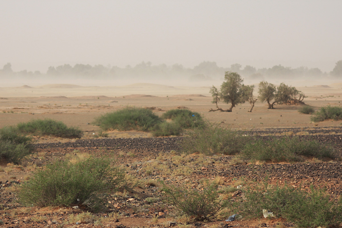 V dálce je vidět řádění pouštní bouře