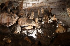 Slovinsko - Jeskyně v Postojné (Postojnska jama)