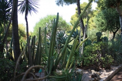 Botanická Zahrada v Monaku