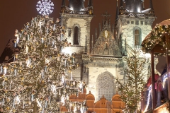 Vánoční stromeček a Týnský chrám